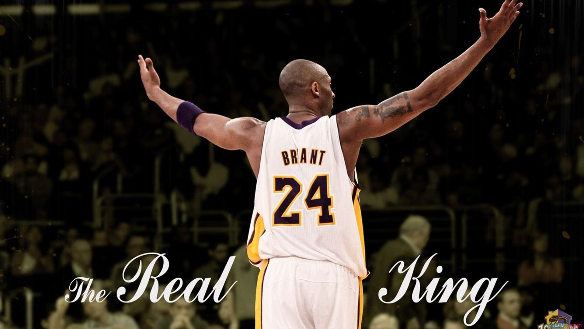 VR游戏新体验:沉浸式与互动性,vr沉浸式体验是什么意思