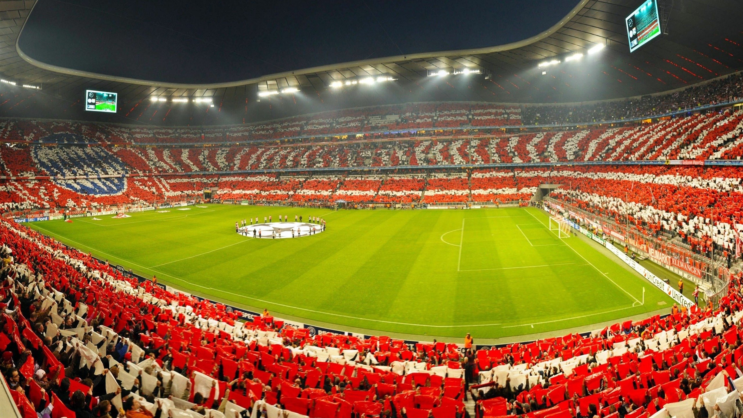 海洋生态潜水大赛，深海奇观尽收眼底，潜水海底世界海洋生物视频